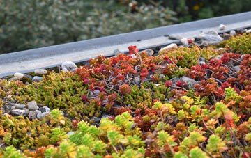 the cost of Guyhirn Gull green roof installation