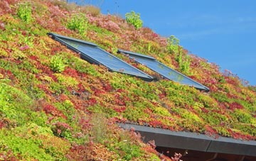 Guyhirn Gull living roof systems