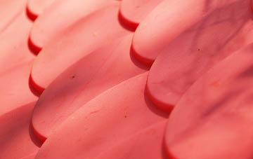 Guyhirn Gull plastic roof costs