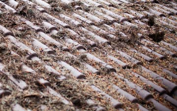 Guyhirn Gull roof cleaning companies