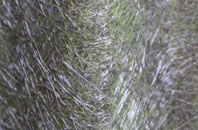 Guyhirn Gull fibreglass roof work