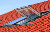 Guyhirn Gull roof window